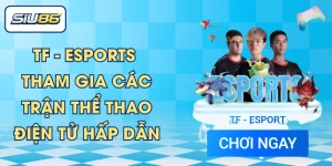 TF - Esports - Tham Gia Các Trận Thể Thao Điện Tử Hấp Dẫn